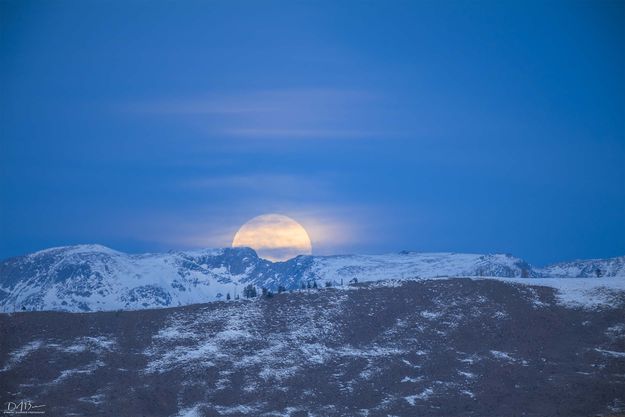 Breaching The Divide. Photo by Dave Bell.