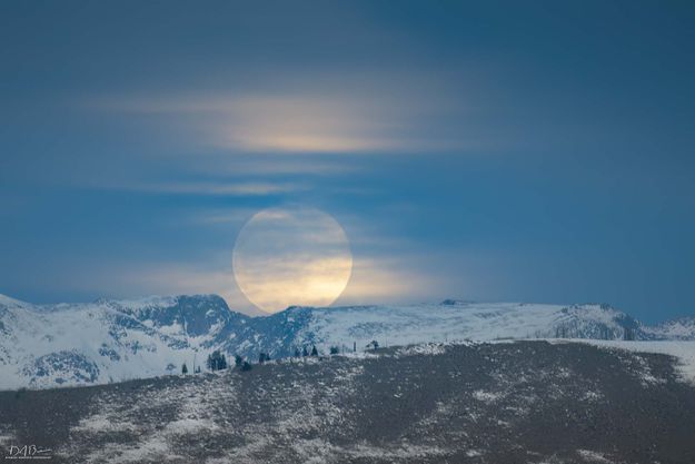 Up and Away. Photo by Dave Bell.
