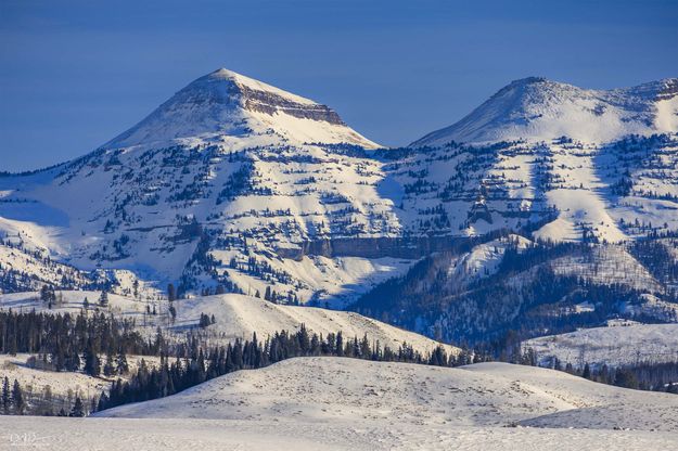 Mt. Holmes. Photo by Dave Bell.