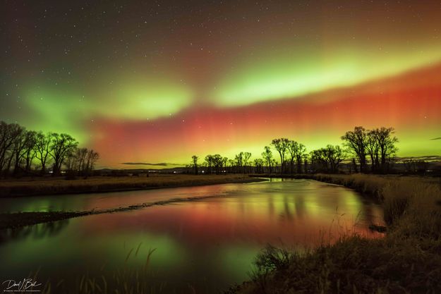 . Photo by Dave Bell.