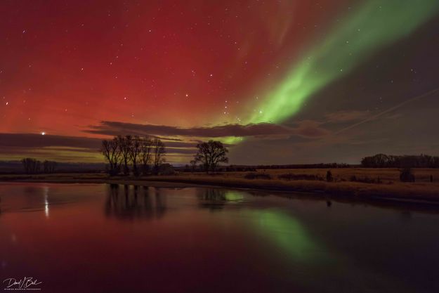 . Photo by Dave Bell.