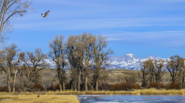 . Photo by Dave Bell.