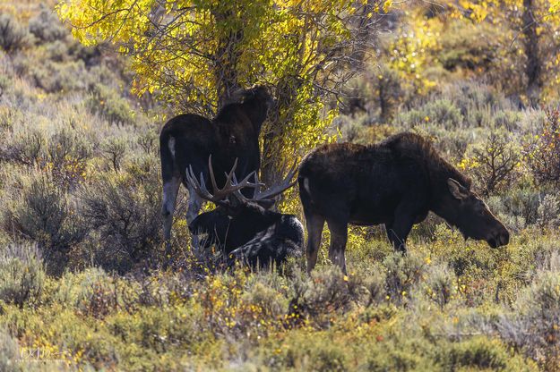 Lazy Fall Day. Photo by Dave Bell.