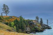 A Coastline Somewhere?. Photo by Dave Bell.