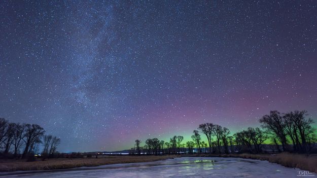 . Photo by Dave Bell.