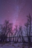 . Photo by Dave Bell.