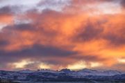 Incredible Sunrises and Some Elk-Jan 11, 12, 15