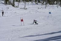 Roxy Melinkovich. Photo by Dave Schultz.