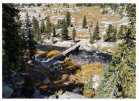 Fremont trail bridge. USFS photo.